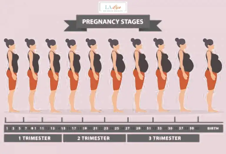 First Trimester (Weeks 1–12): Early Changes You Might Not Notice Cottenham Park